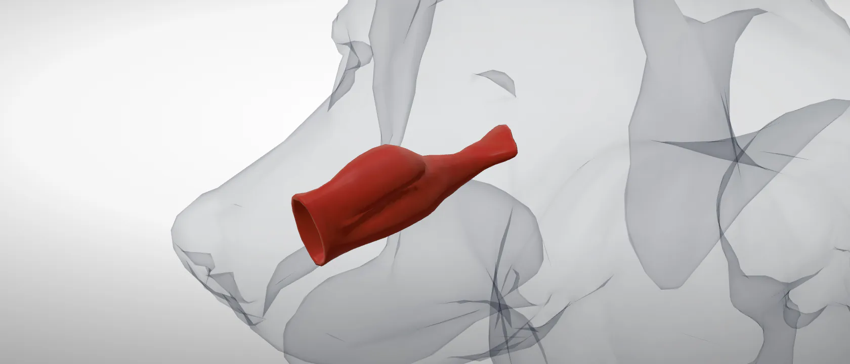 Nasal cavity (Cavum nasi) of the dog, left side: a three-quarter view of the respiratory.