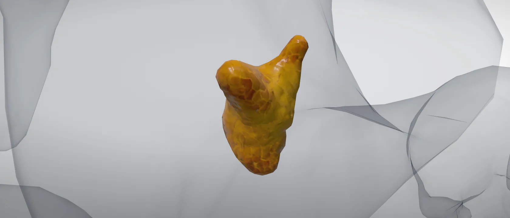 Parotid gland (Glandula parotis) of the dog, left side: a three-quarter view of the digestive.