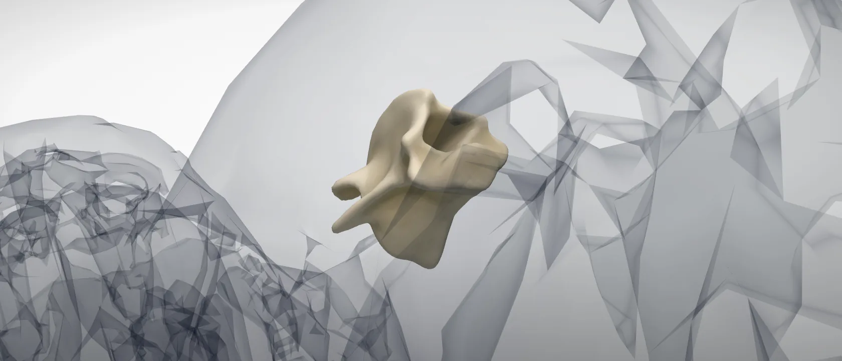 Axis (C2) (Axis) of the horse: a three-quarter view of the bone.