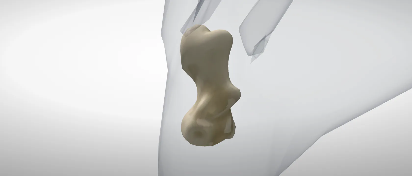 Calcaneus (fibular tarsal bone) (Calcaneus) of the horse, left side: a three-quarter view of the bone.