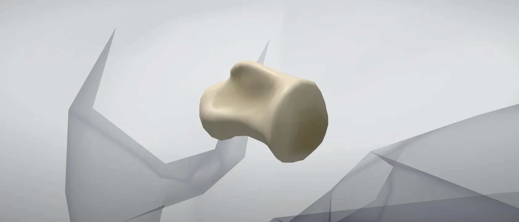 Caudal vertebra 2 (Vertebra caudalis II) of the horse: a three-quarter view of the bone.