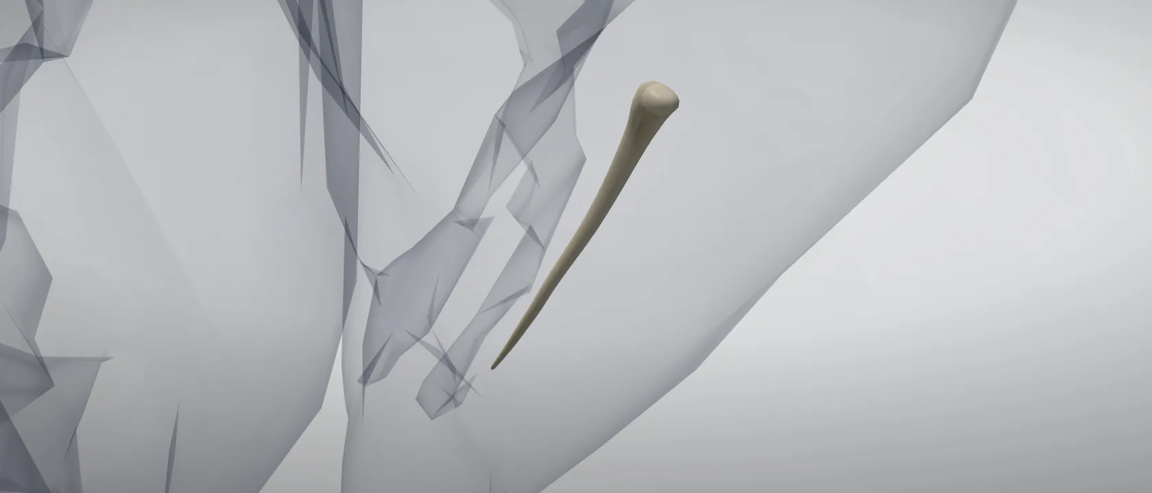Fibula of the horse, left side: a three-quarter view of the bone.