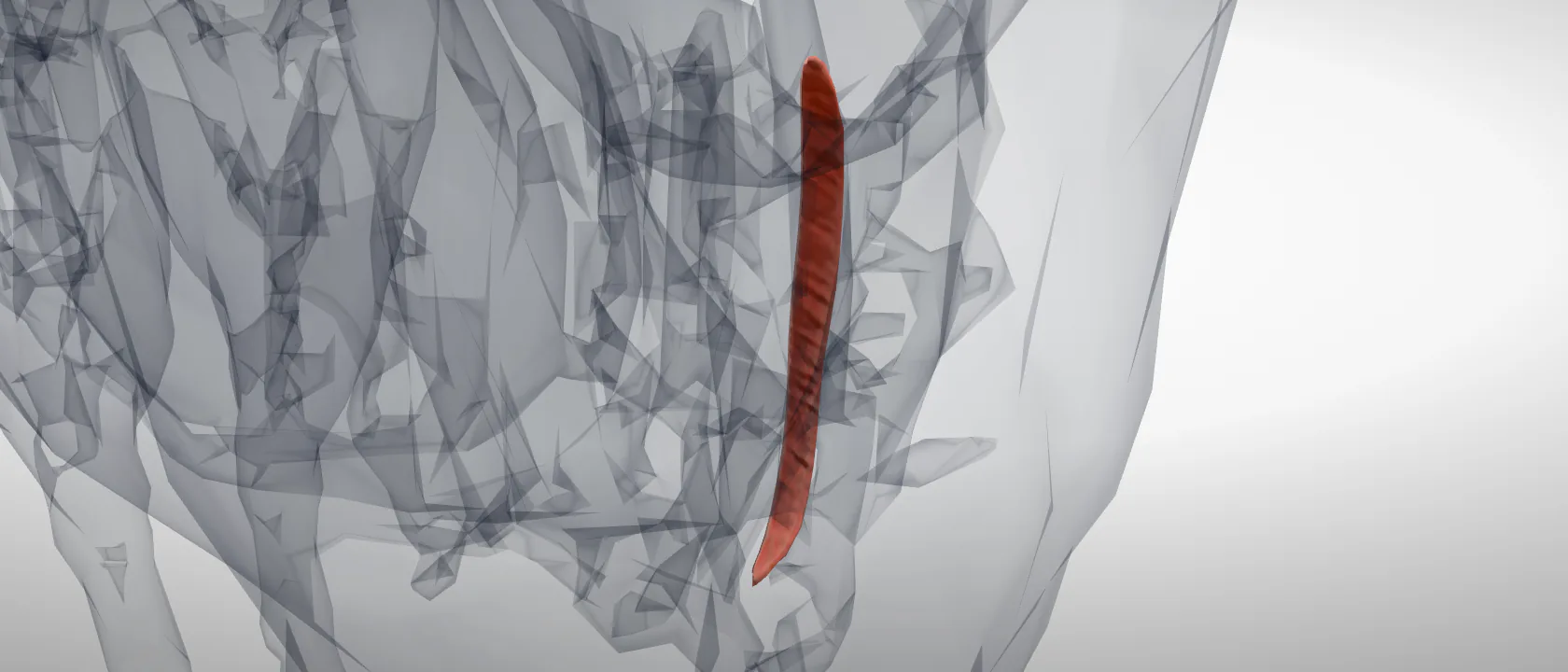 Internal intercostal muscle 1 (Musculus intercostalis internus I) of the horse, left side: a three-quarter view of the muscle.