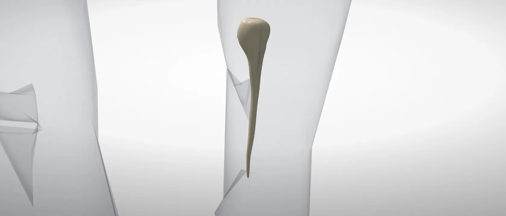 Os metatarsale II of the horse, left side: a three-quarter view of the bone.