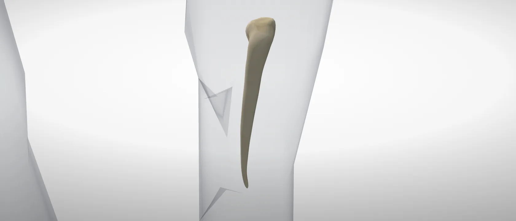 Os metatarsale IV of the horse, left side: a three-quarter view of the bone.