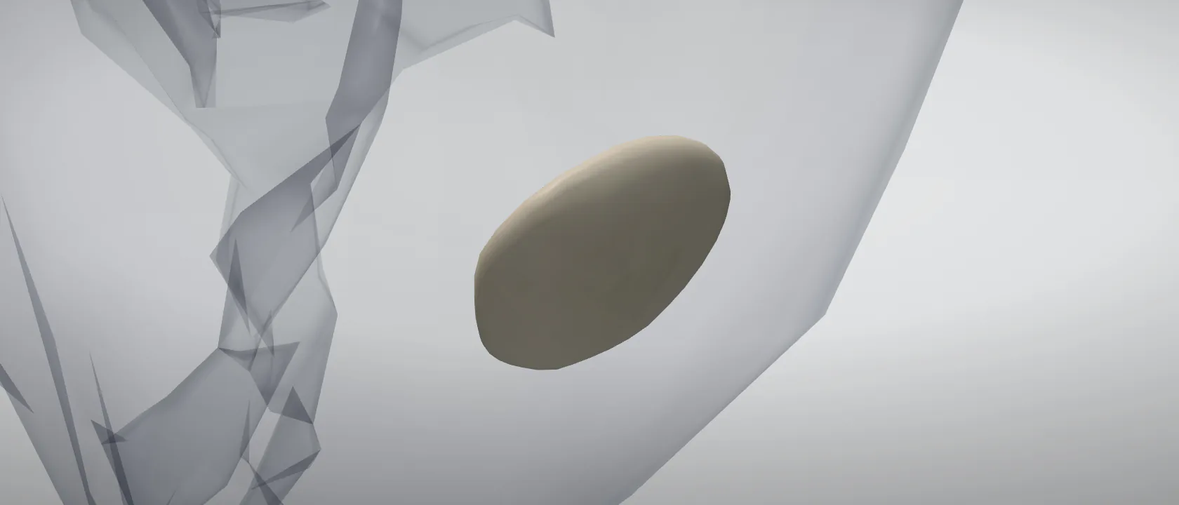Patella of the horse, left side: a three-quarter view of the bone.