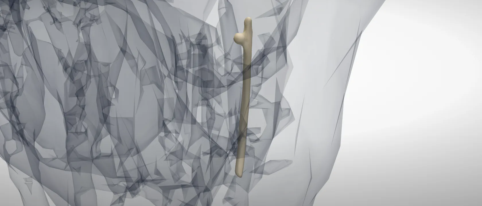 Rib 1 (Costa I) of the horse, left side: a three-quarter view of the bone.