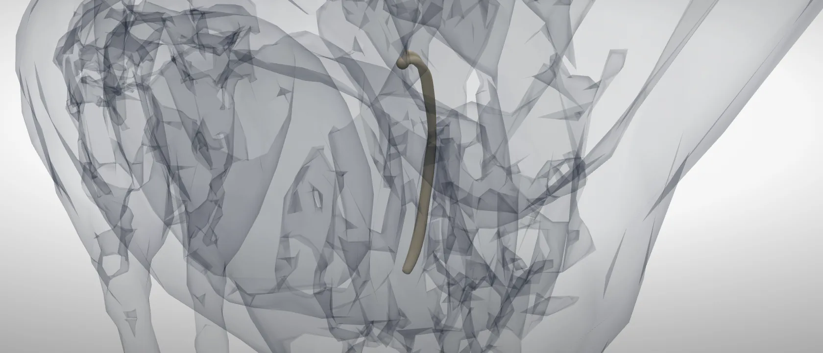 Rib 6 (Costa VI) of the horse, left side: a three-quarter view of the bone.