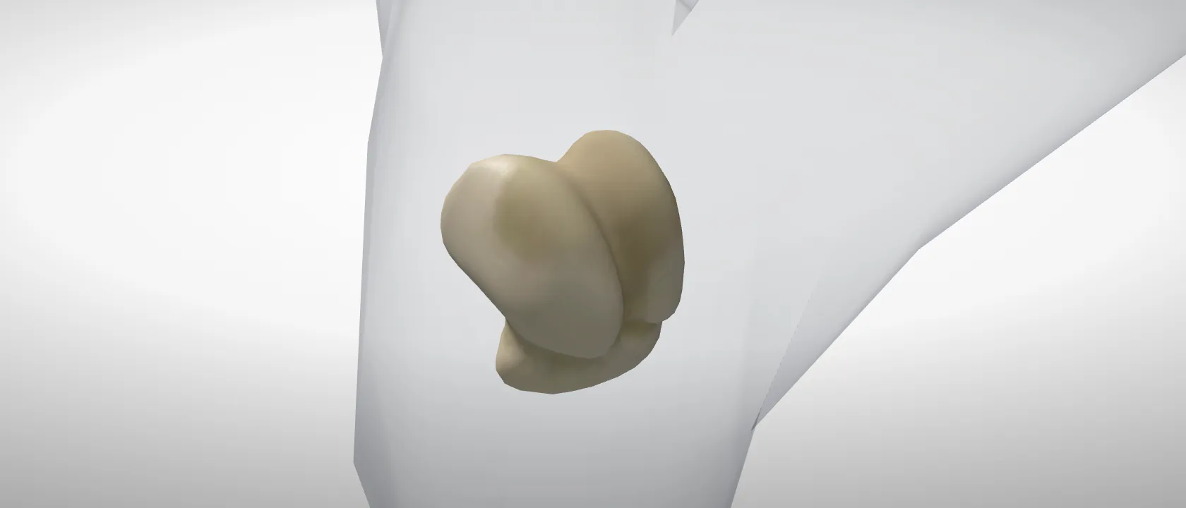Talus (tibial tarsal bone) (Talus) of the horse, left side: a three-quarter view of the bone.