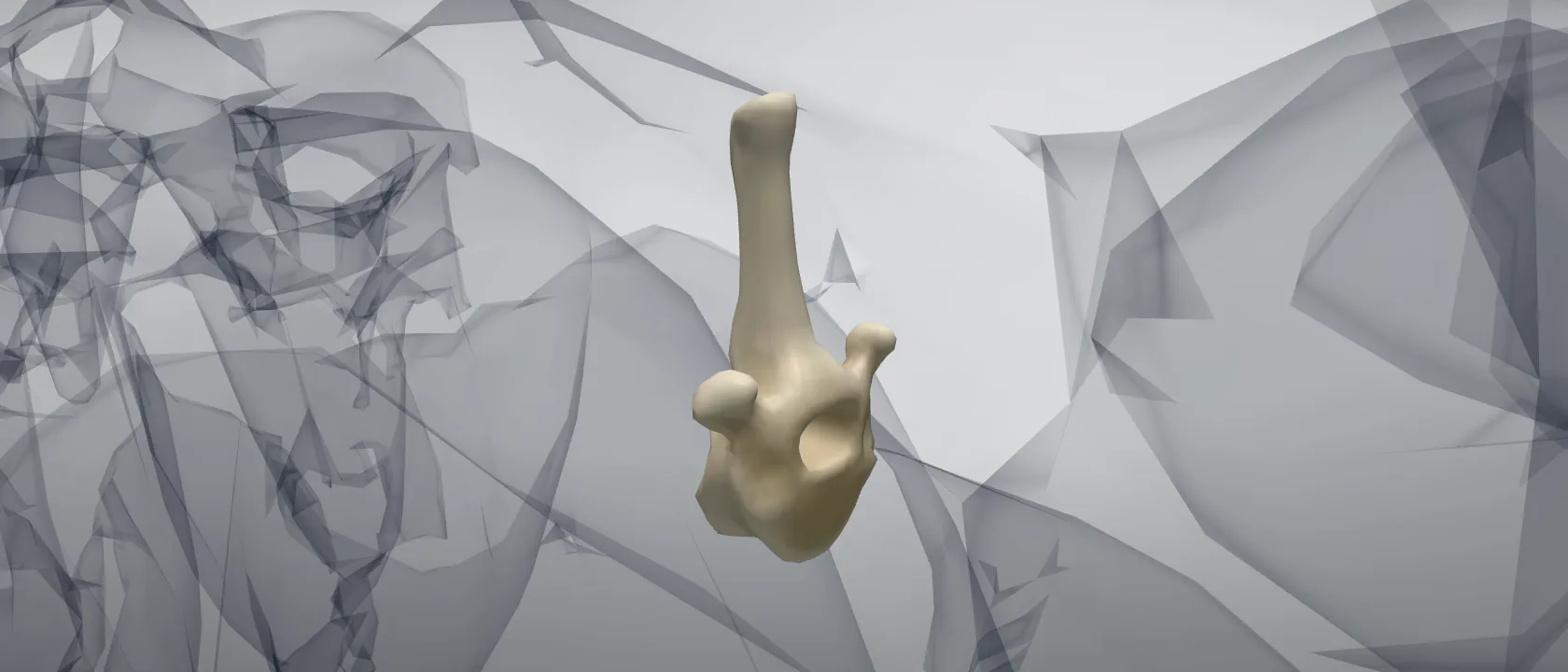 Thoracic vertebra 10 (Vertebra thoracica X) of the horse: a three-quarter view of the bone.