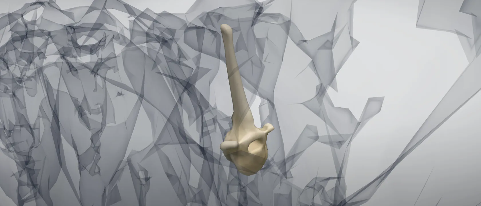 Thoracic vertebra 2 (Vertebra thoracica II) of the horse: a three-quarter view of the bone.