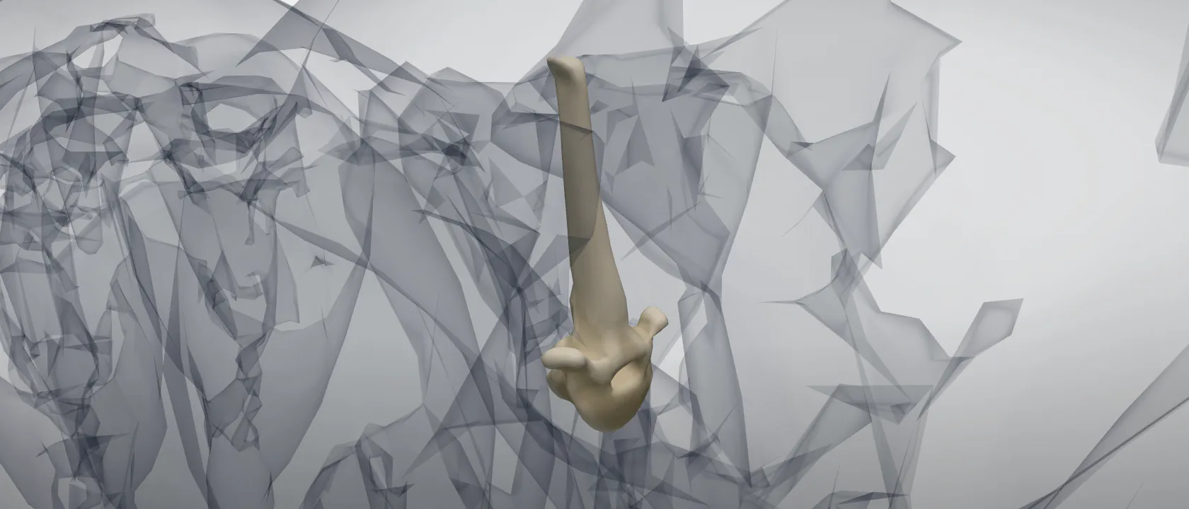 Thoracic vertebra 3 (Vertebra thoracica III) of the horse: a three-quarter view of the bone.