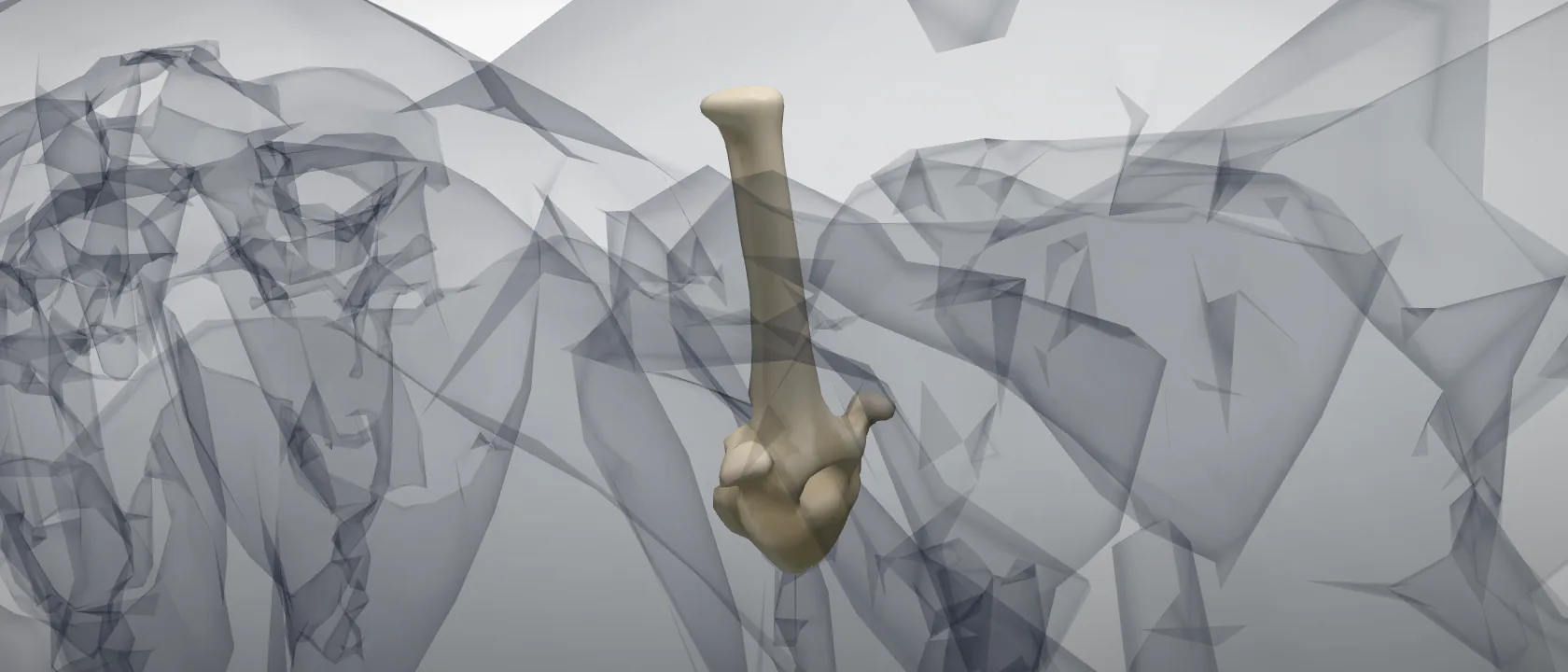 Thoracic vertebra 6 (Vertebra thoracica VI) of the horse: a three-quarter view of the bone.