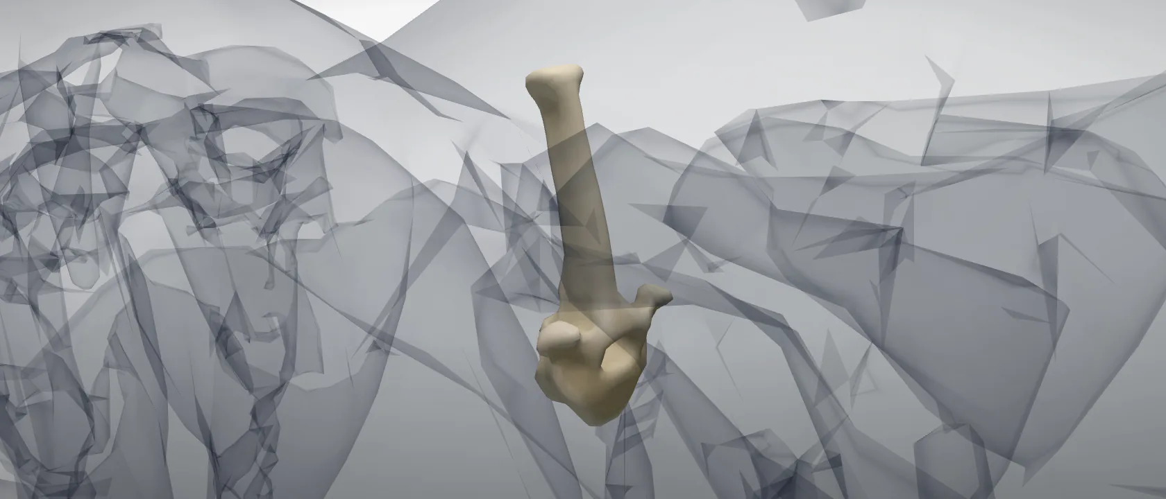 Thoracic vertebra 7 (Vertebra thoracica VII) of the horse: a three-quarter view of the bone.