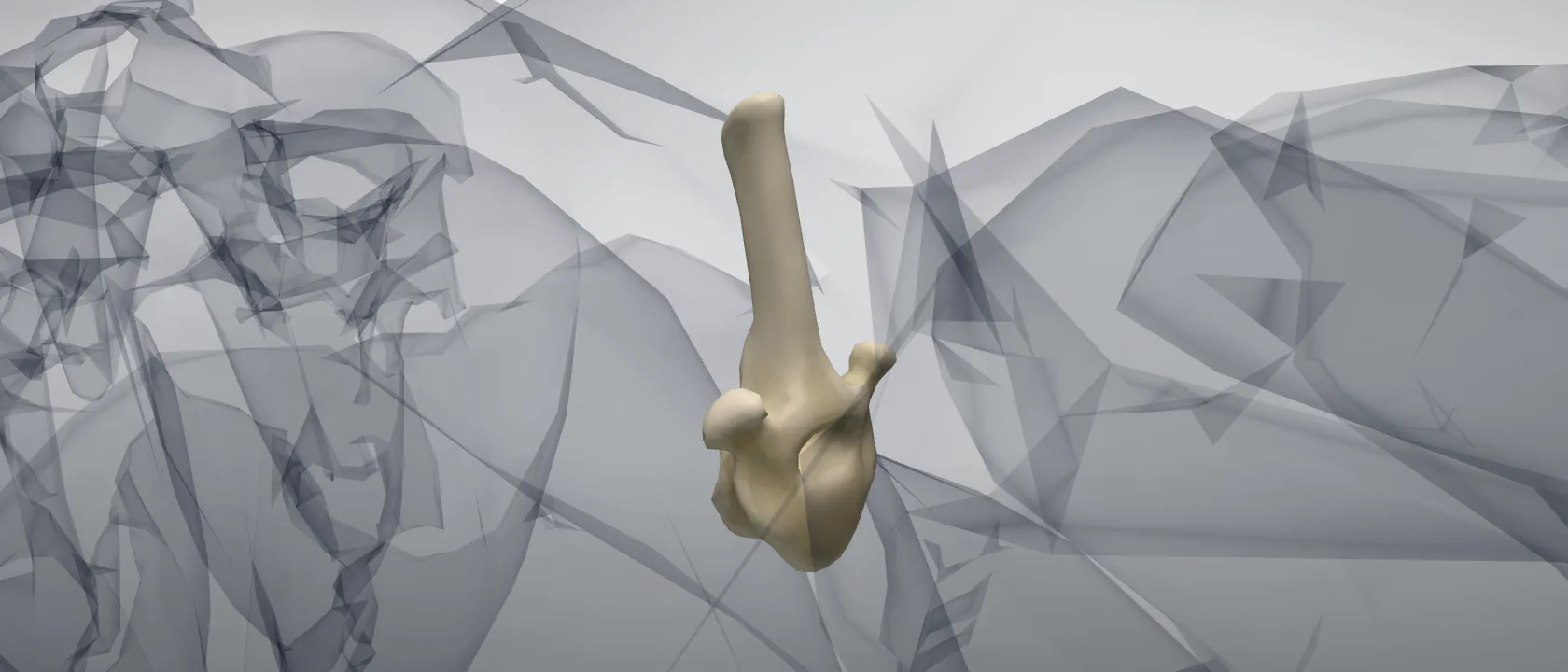 Thoracic vertebra 9 (Vertebra thoracica IX) of the horse: a three-quarter view of the bone.