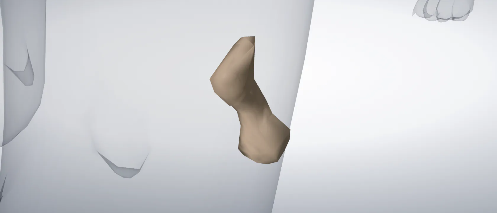 Accessory carpal bone (Os carpi accessorium) of the cat, left side: a three-quarter view of the bone.