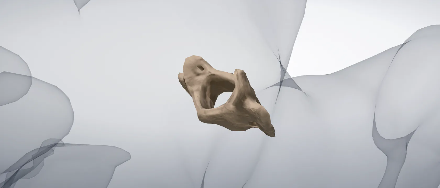 Atlas (C1) (Atlas) of the cat: a three-quarter view of the bone.