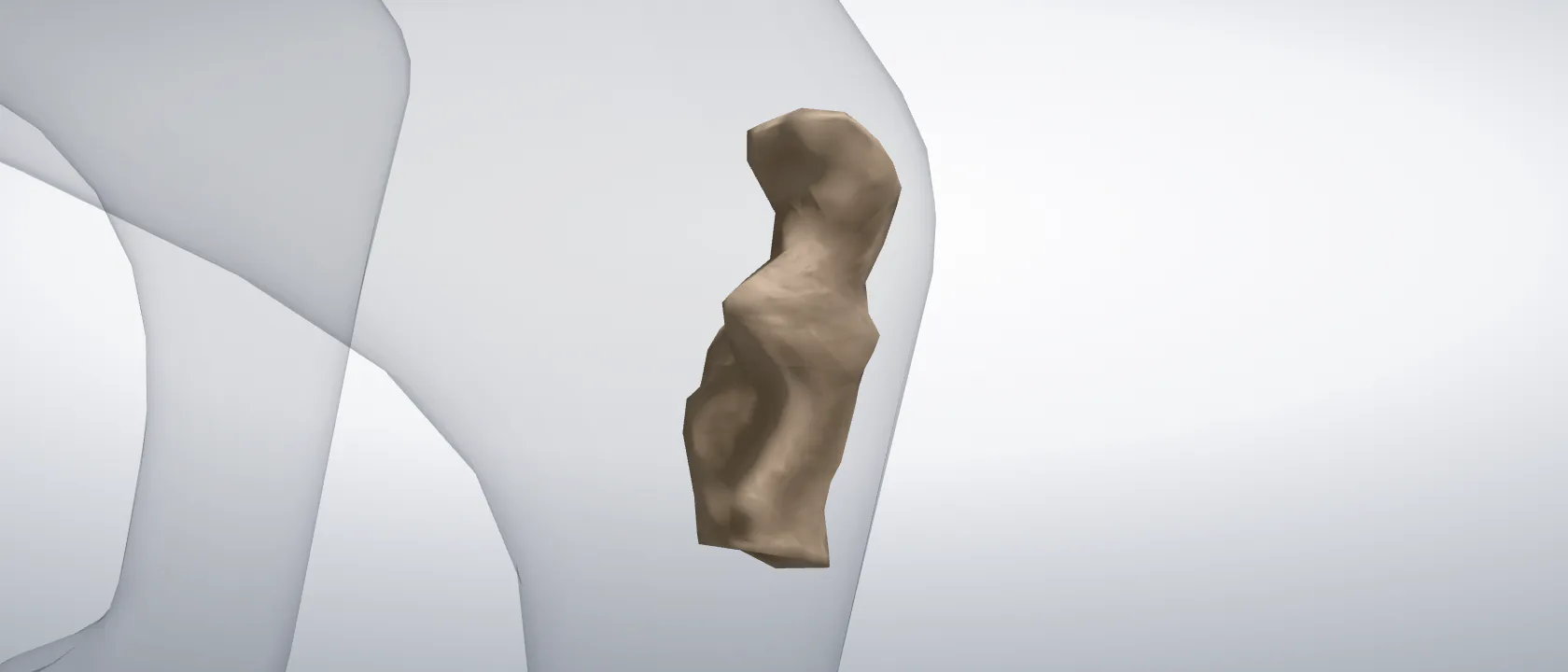Calcaneus of the cat, left side: a three-quarter view of the bone.