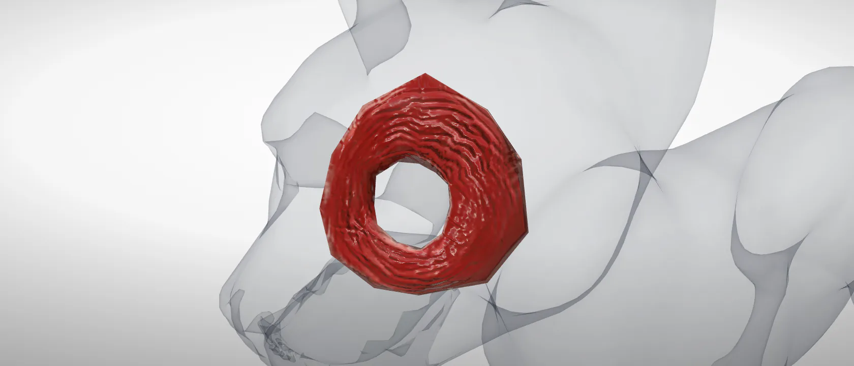 Orbicular muscle of the eye (Musculus orbicularis oculi) of the cat, left side: a three-quarter view of the muscle.