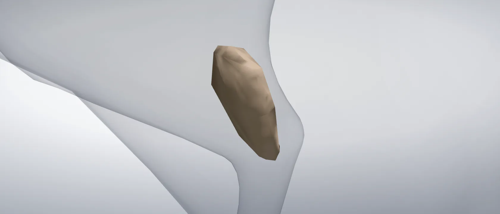 Patella of the cat, left side: a three-quarter view of the bone.