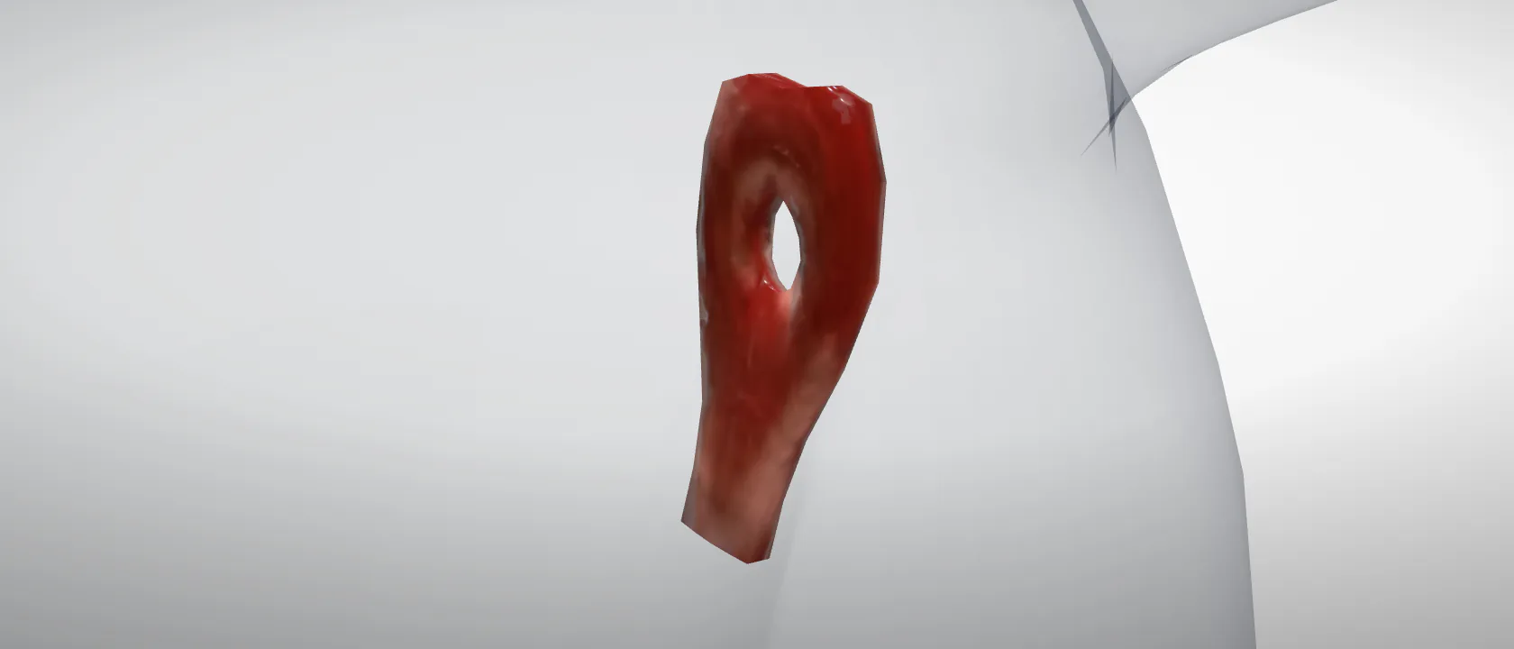 Rectum of the cat: a three-quarter view of the digestive.