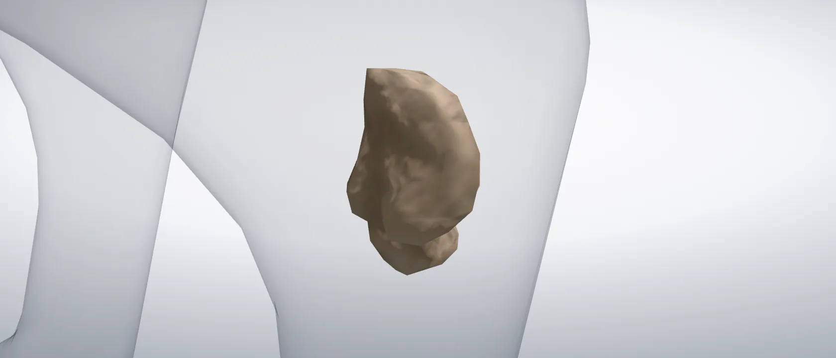 Talus of the cat, left side: a three-quarter view of the bone.