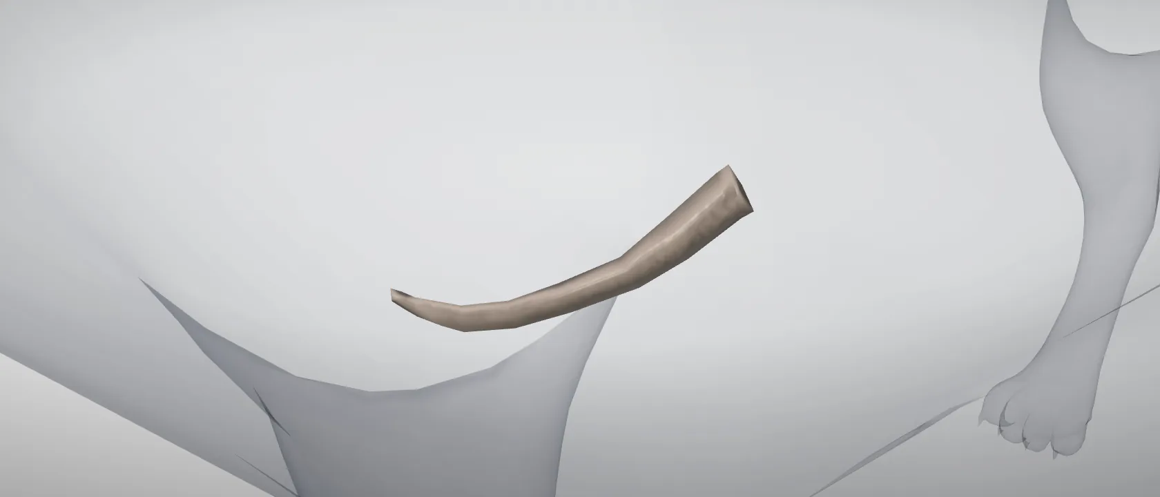Third costal cartilage (Cartilago costalis III) of the cat, left side: a three-quarter view of the cartilage.