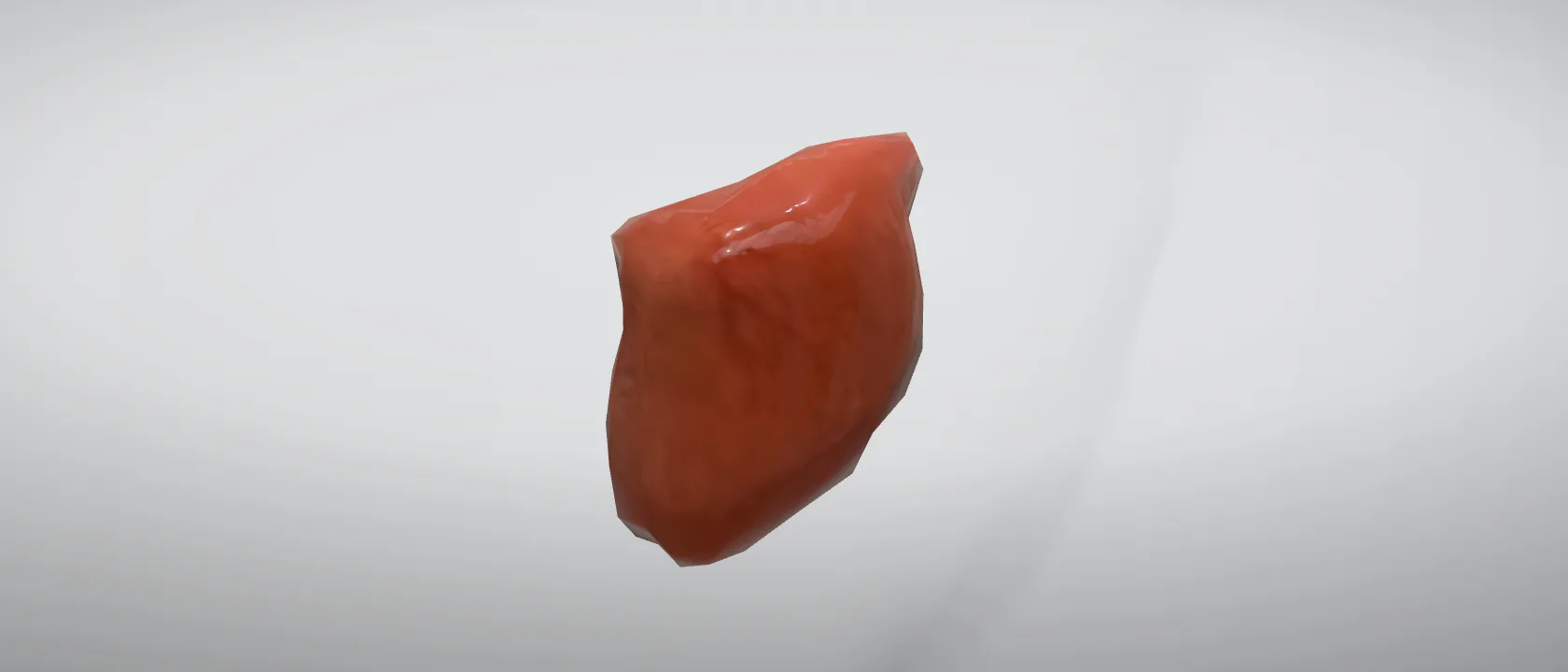 Urinary bladder (Vesica urinaria) of the cat: a three-quarter view of the urinary.