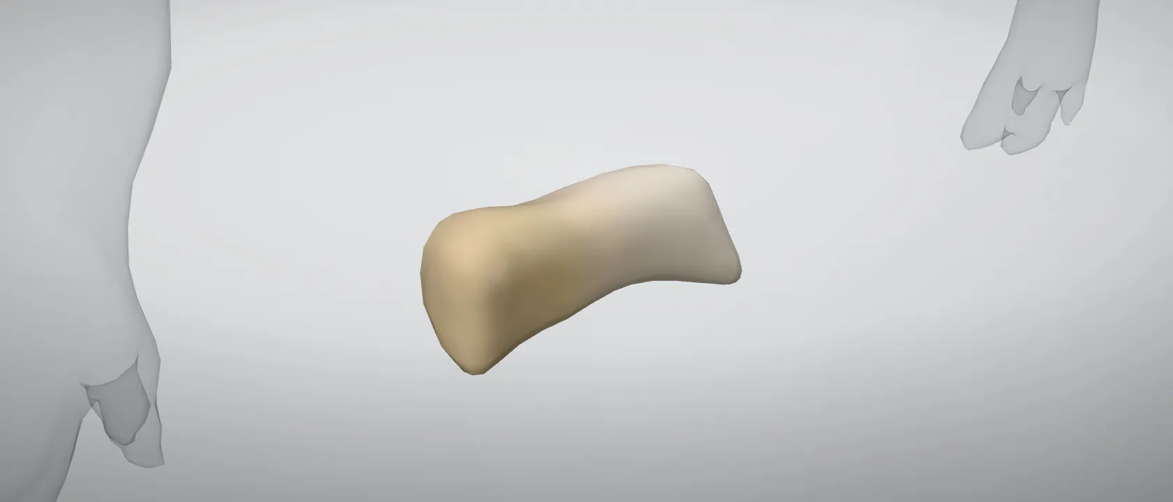 Accessory carpal bone (Os carpi accessorium) of the pig, left side: a three-quarter view of the bone.