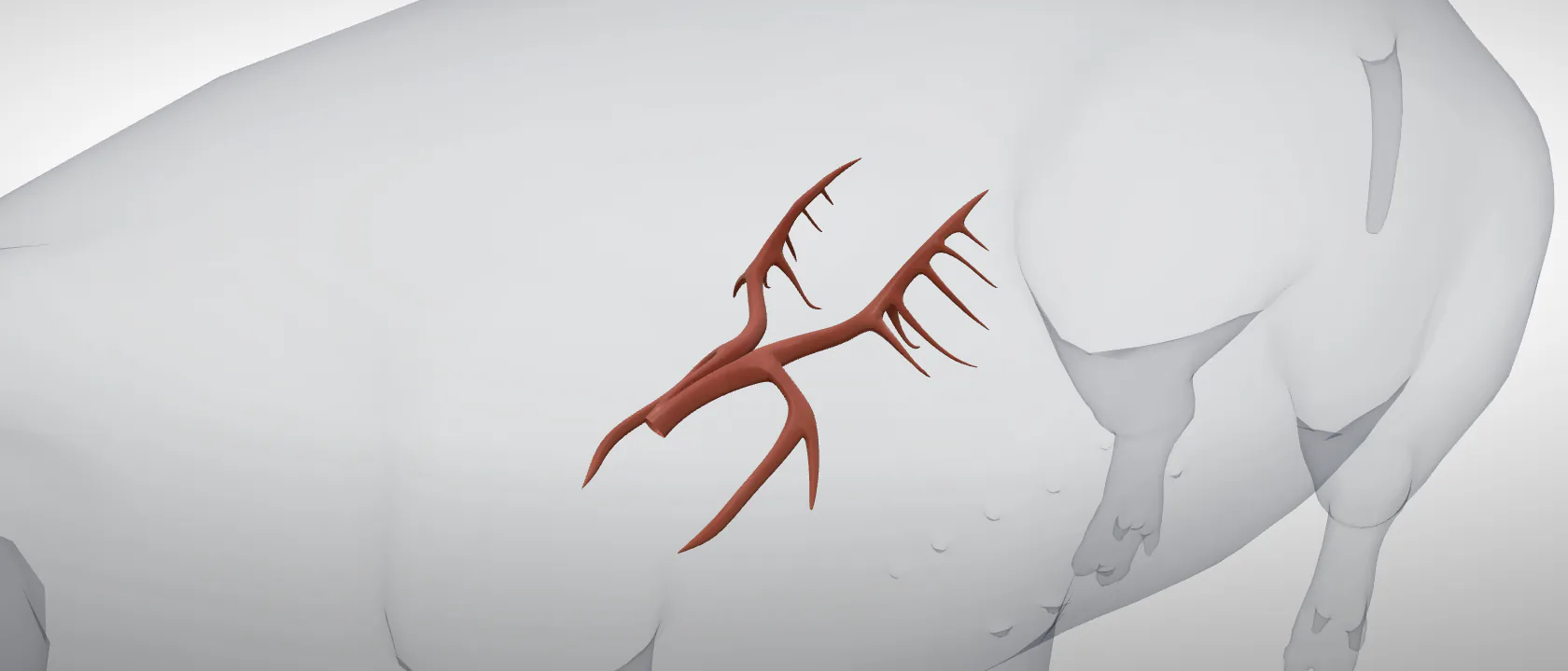 Bronchial tree (Arbor bronchalis) of the pig: a three-quarter view of the respiratory.