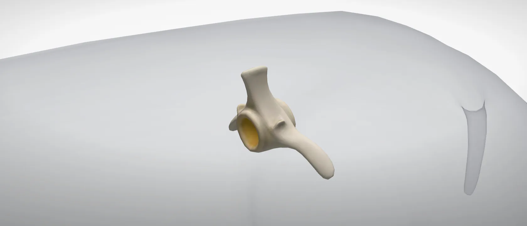 Lumbar vertebra 2 (Vertebra lumbalis II) of the pig: a three-quarter view of the bone.