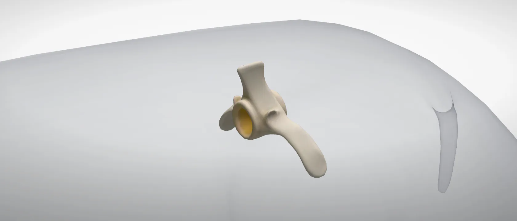 Lumbar vertebra 3 (Vertebra lumbalis III) of the pig: a three-quarter view of the bone.