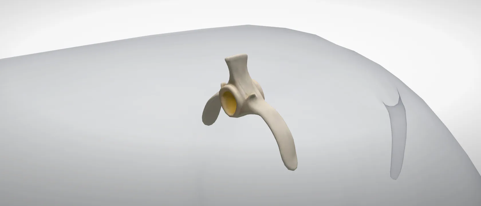 Lumbar vertebra 4 (Vertebra lumbalis IV) of the pig: a three-quarter view of the bone.