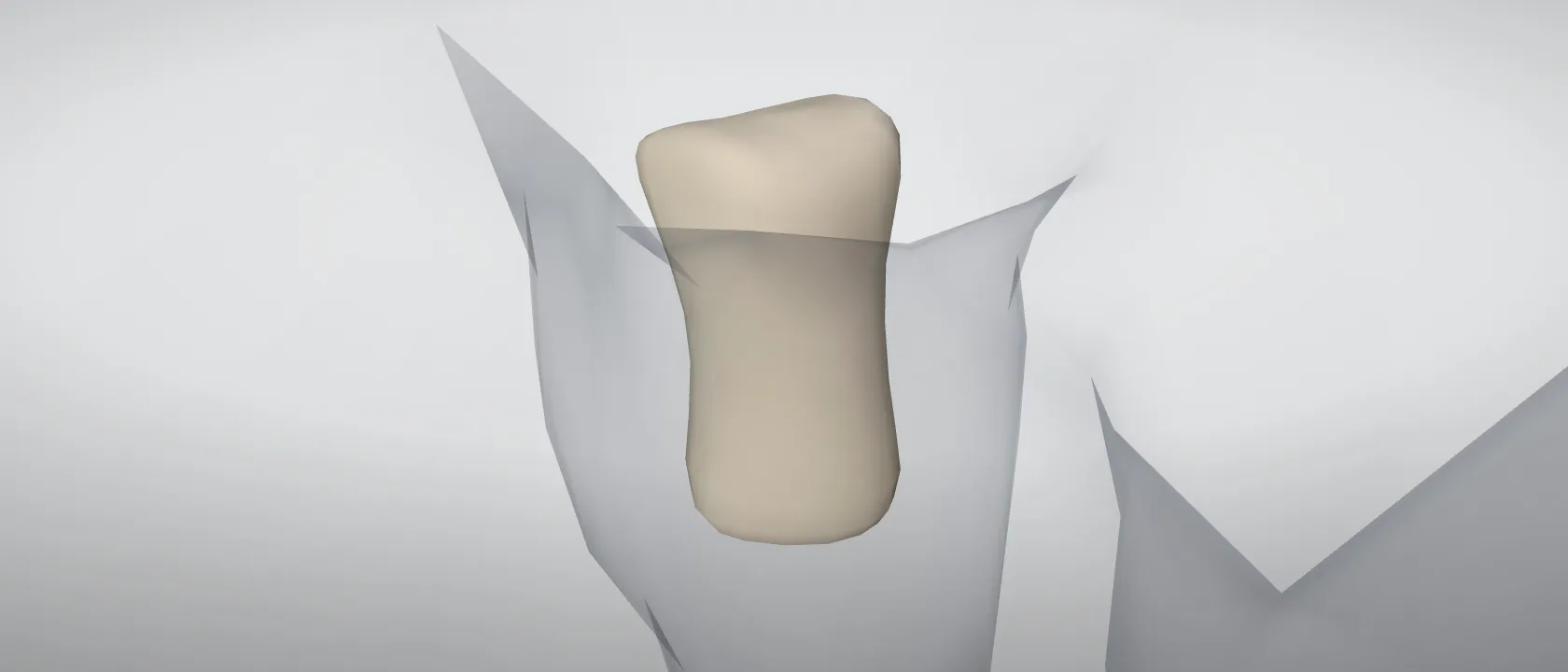 Middle phalanx, digit 2, left fore (Phalanx media digiti II) of the pig, left side: a three-quarter view of the bone.