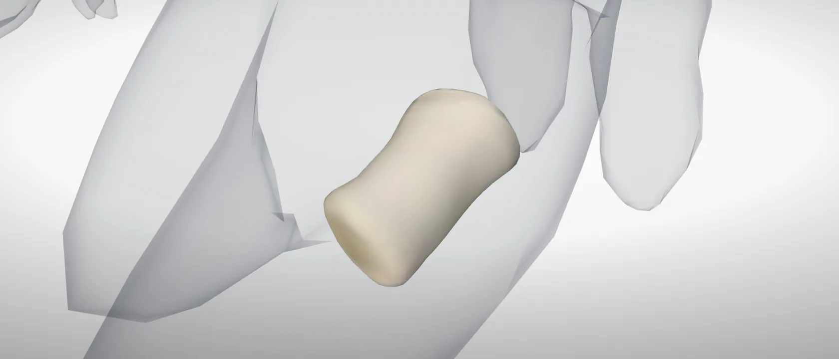 Middle phalanx, digit 4, left fore (Phalanx media digiti IV) of the pig, left side: a three-quarter view of the bone.