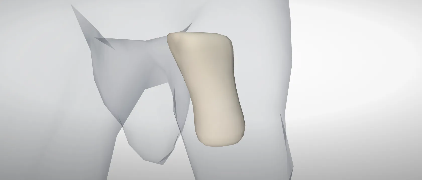Middle phalanx, digit 5, left fore (Phalanx media digiti V) of the pig, left side: a three-quarter view of the bone.