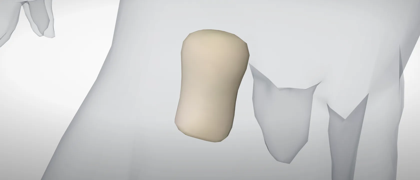 Proximal phalanx, digit 3, left fore (Phalanx proximalis digiti III) of the pig, left side: a three-quarter view of the bone.