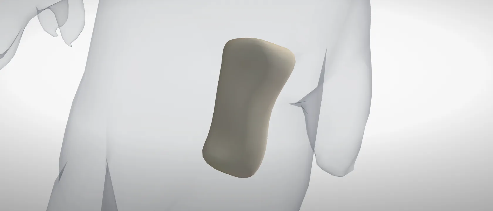 Proximal phalanx, digit 4, left hind (Phalanx proximalis digiti IV pedis) of the pig, left side: a three-quarter view of the bone.