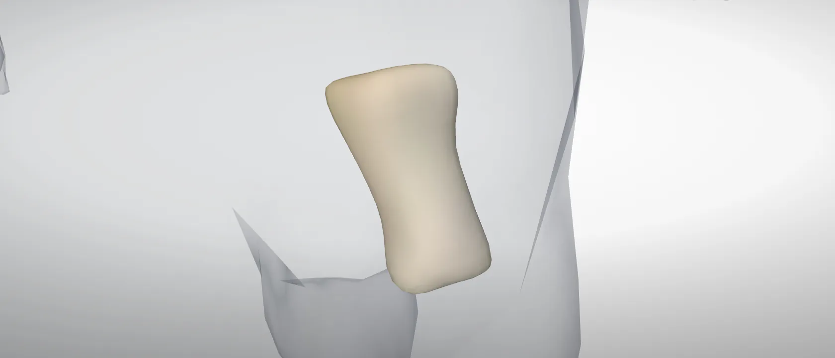 Proximal phalanx, digit 5, left fore (Phalanx proximalis digiti V) of the pig, left side: a three-quarter view of the bone.