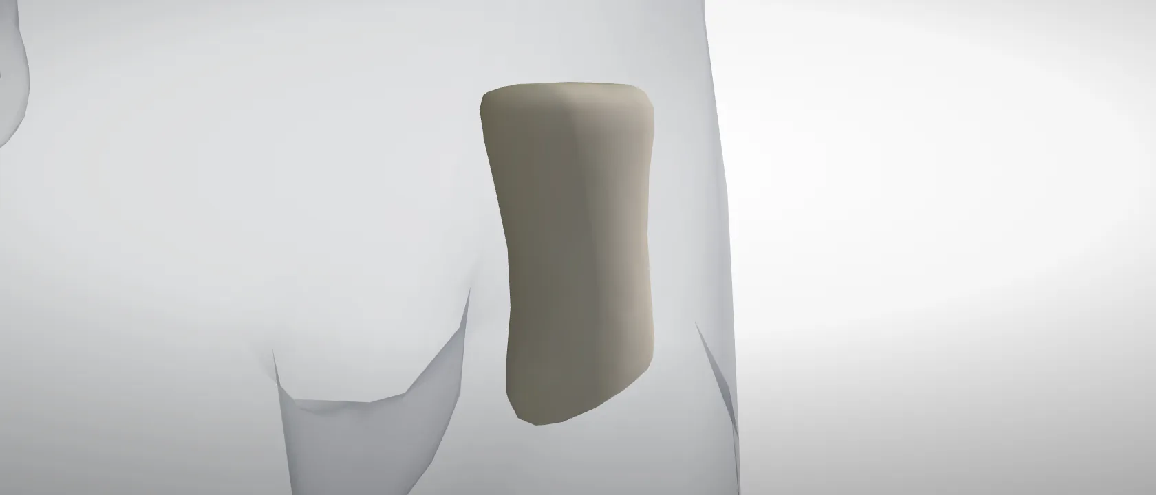 Proximal phalanx, digit 5, left hind (Phalanx proximalis digiti V pedis) of the pig, left side: a three-quarter view of the bone.