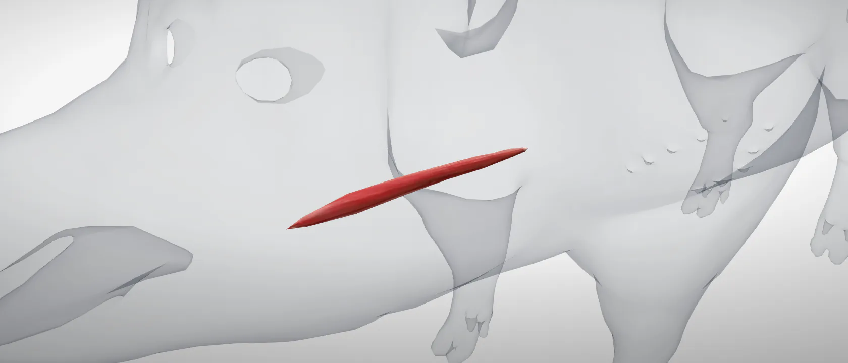 Sternohyoid (Musculus sternohyoideus) of the pig, left side: a three-quarter view of the muscle.
