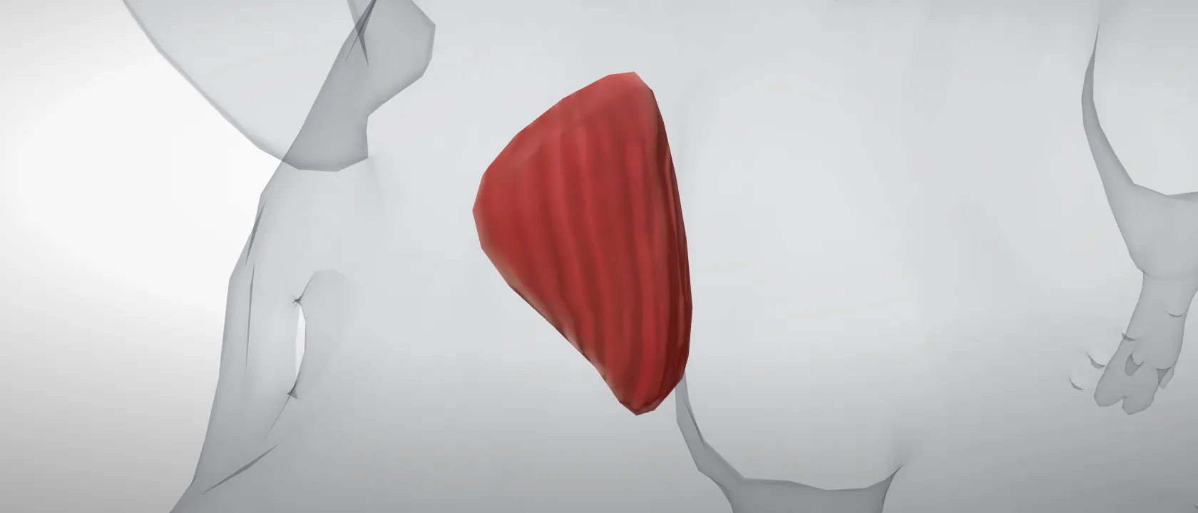 Temporal (Musculus temporalis) of the pig, left side: a three-quarter view of the muscle.