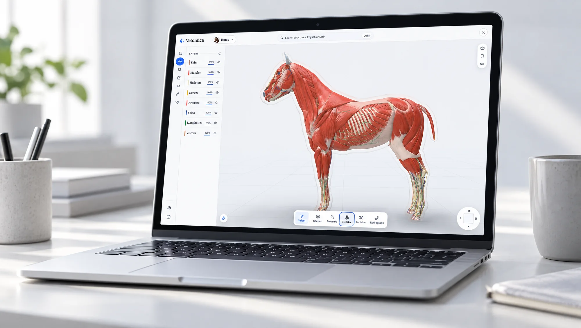 The atlas with the horse on the stage and the layer list beside it